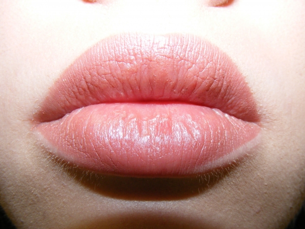 Creation of Labret Literature: Step 1